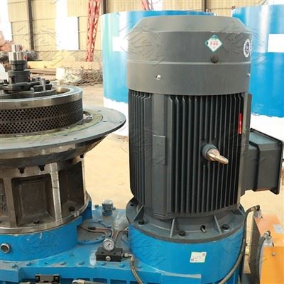 Ring Die Wood Biomass Sawdust Straw Pelletize Fuel Pellet Making Machine For Farm Use Ring Die Wood Biomass Sawdust Straw Pelletize Fuel Pellet Making Machine For Farm Use
